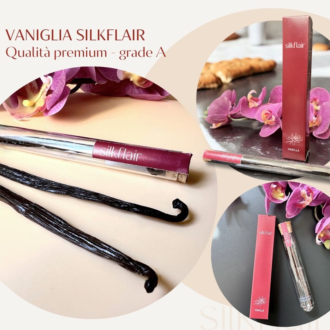 Vaniglia Bourbon in bacca (Madagascar) - Silkflair