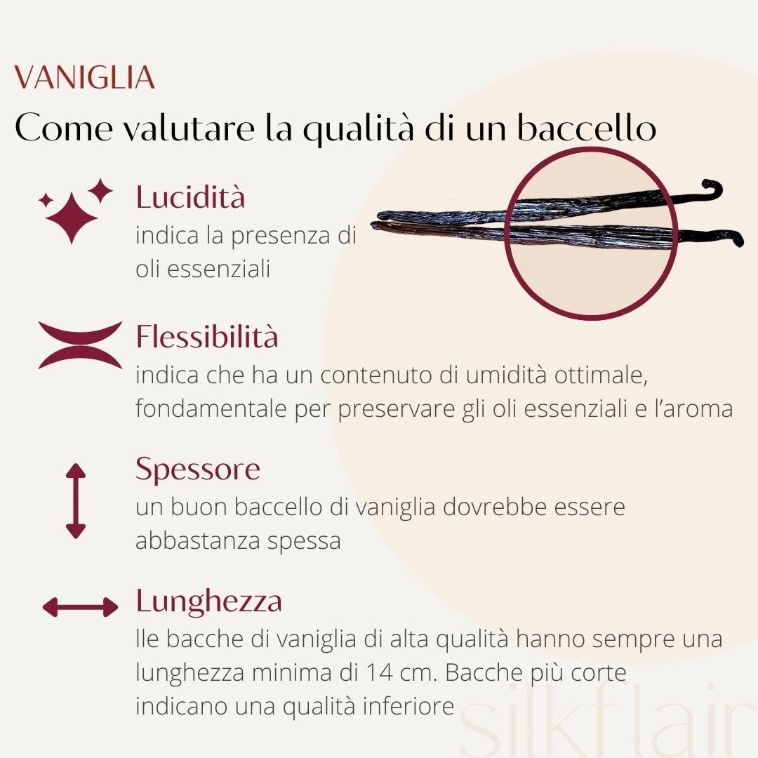 Vaniglia Bourbon in bacca (Madagascar) - Silkflair