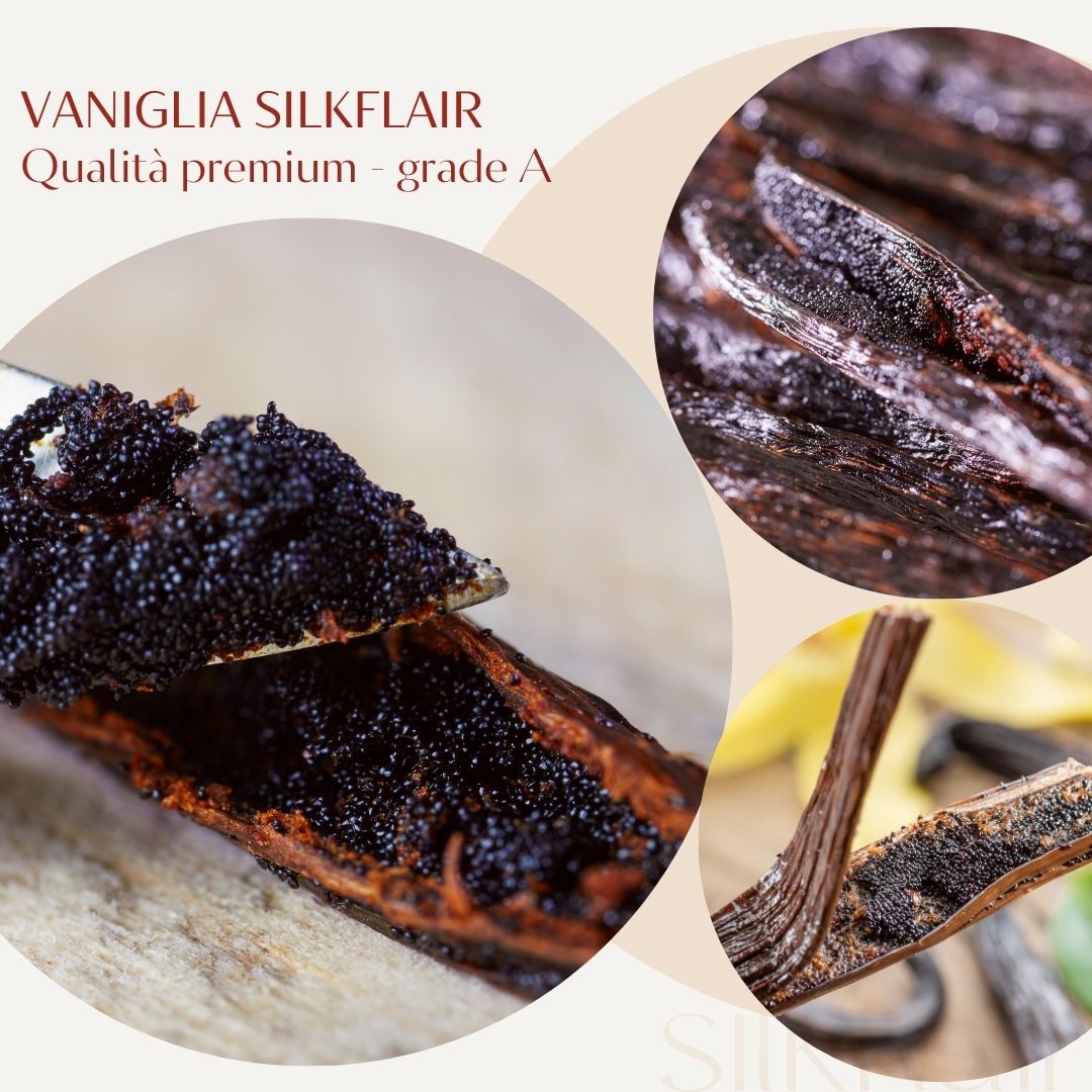 Vaniglia Bourbon in bacca (Madagascar) - Silkflair