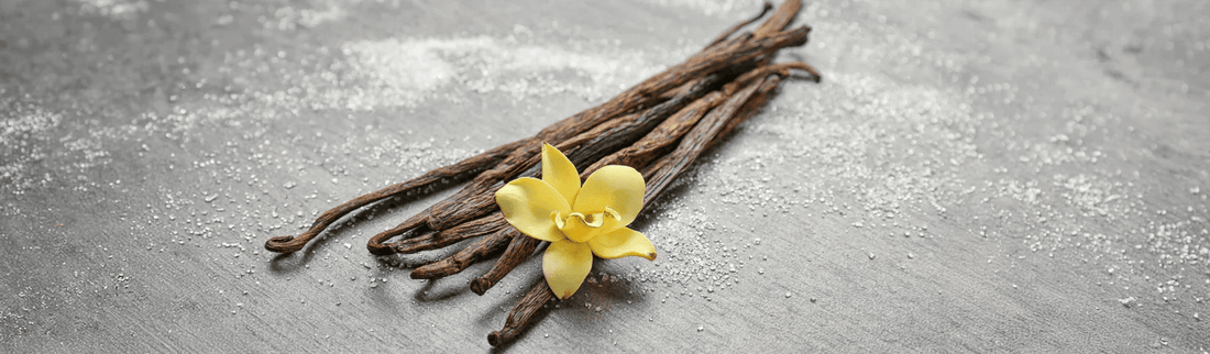 Vaniglia Bourbon del Madagascar: come riconoscere un baccello di qualità - Silkflair