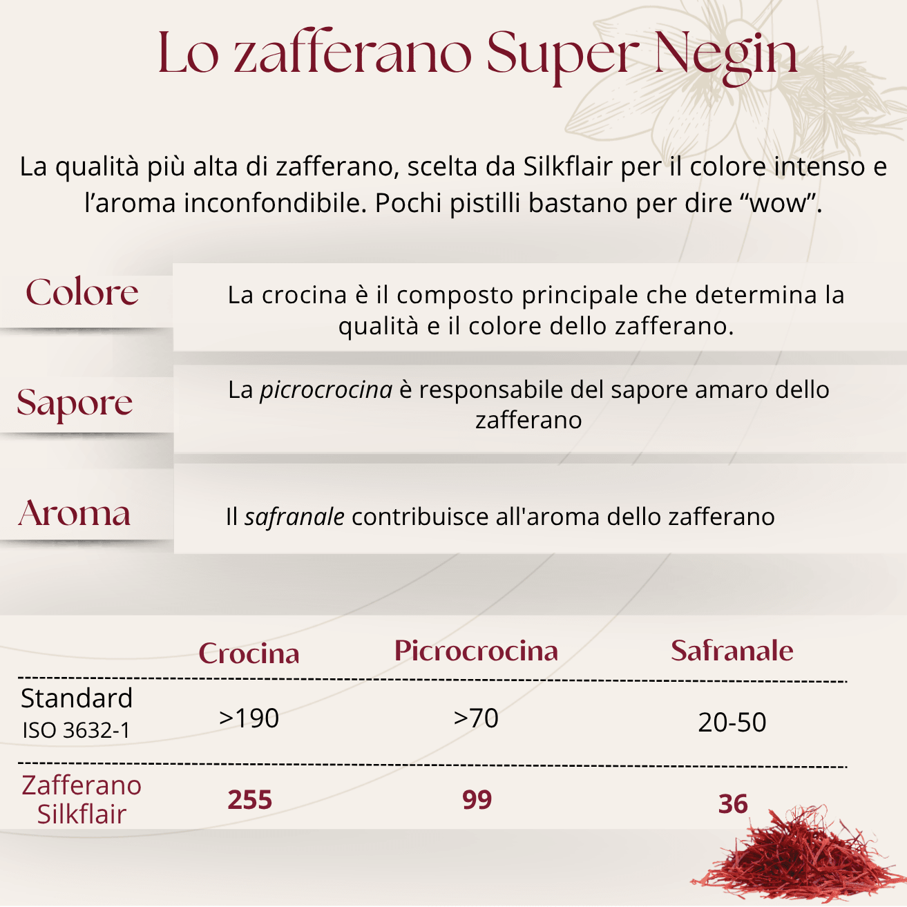 1997 - La Magia delle Spezie | Box gourmet con spezie pregiate dal mondo | Edizione limitata 2025 - Silkflair