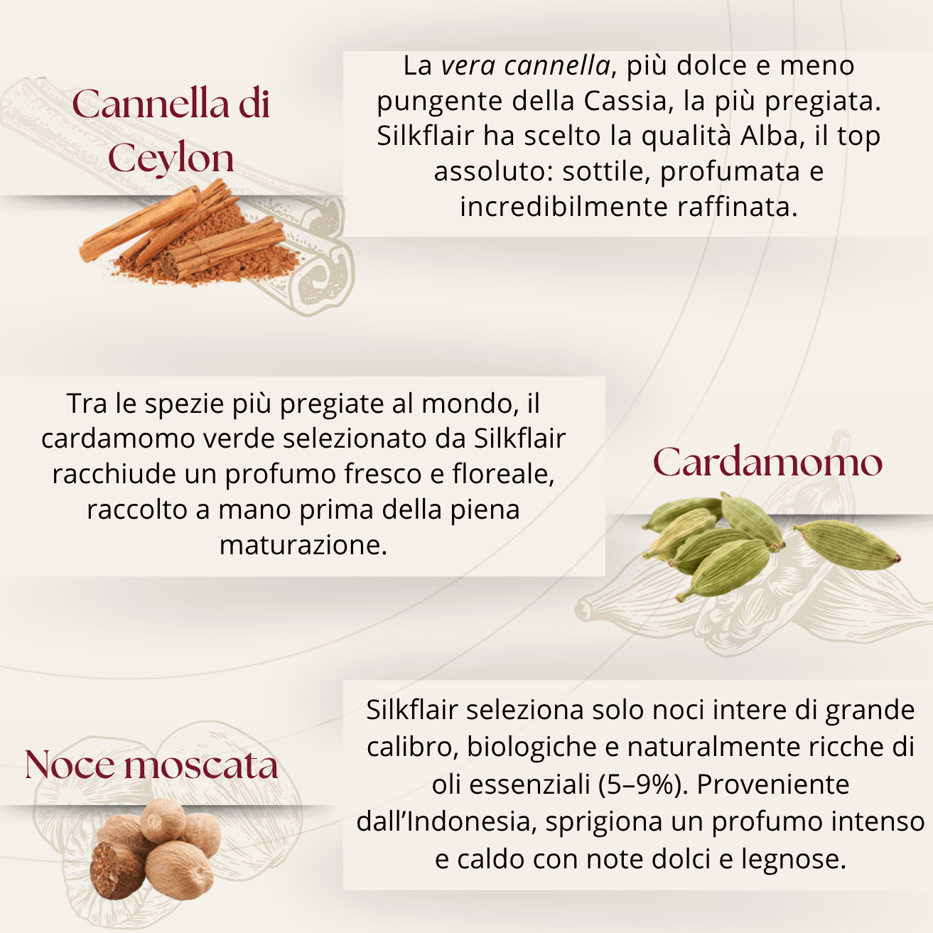 1997 - La Magia delle Spezie | Box gourmet con spezie pregiate dal mondo | Edizione limitata 2025 - Silkflair