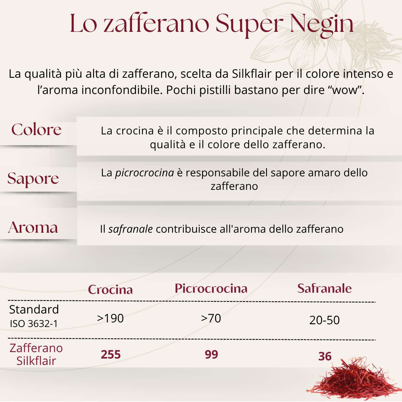 1997 - La Magia delle Spezie | Box gourmet con spezie pregiate dal mondo | Edizione limitata 2025