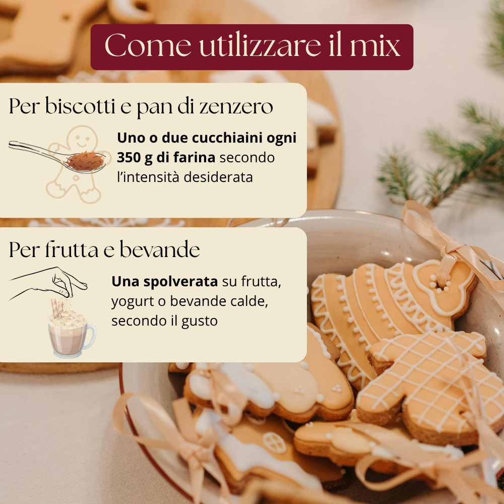 Mix di spezie Gingerbread - Pan di zenzero | Silkflair