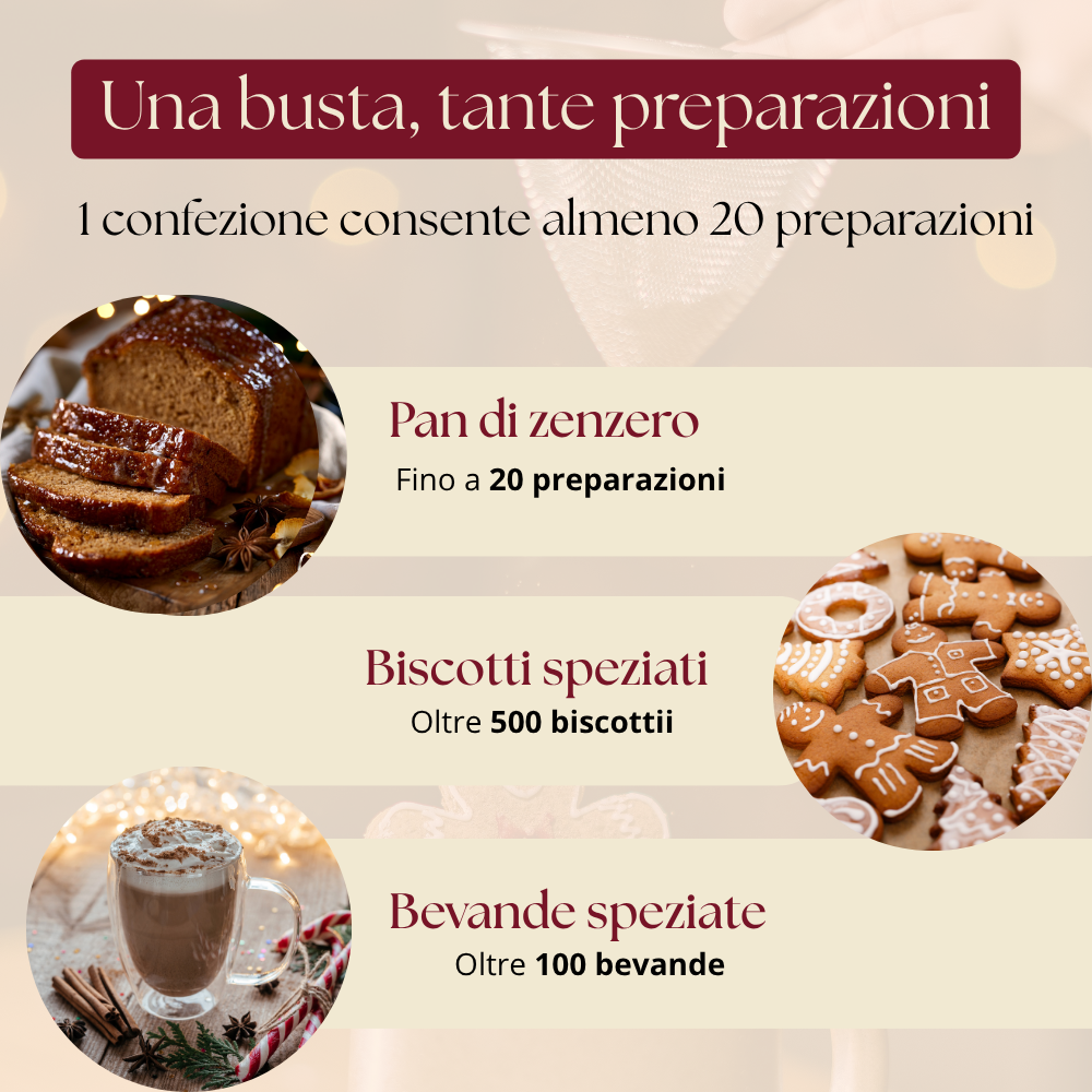 Mix di spezie Gingerbread - Pan di zenzero | Silkflair