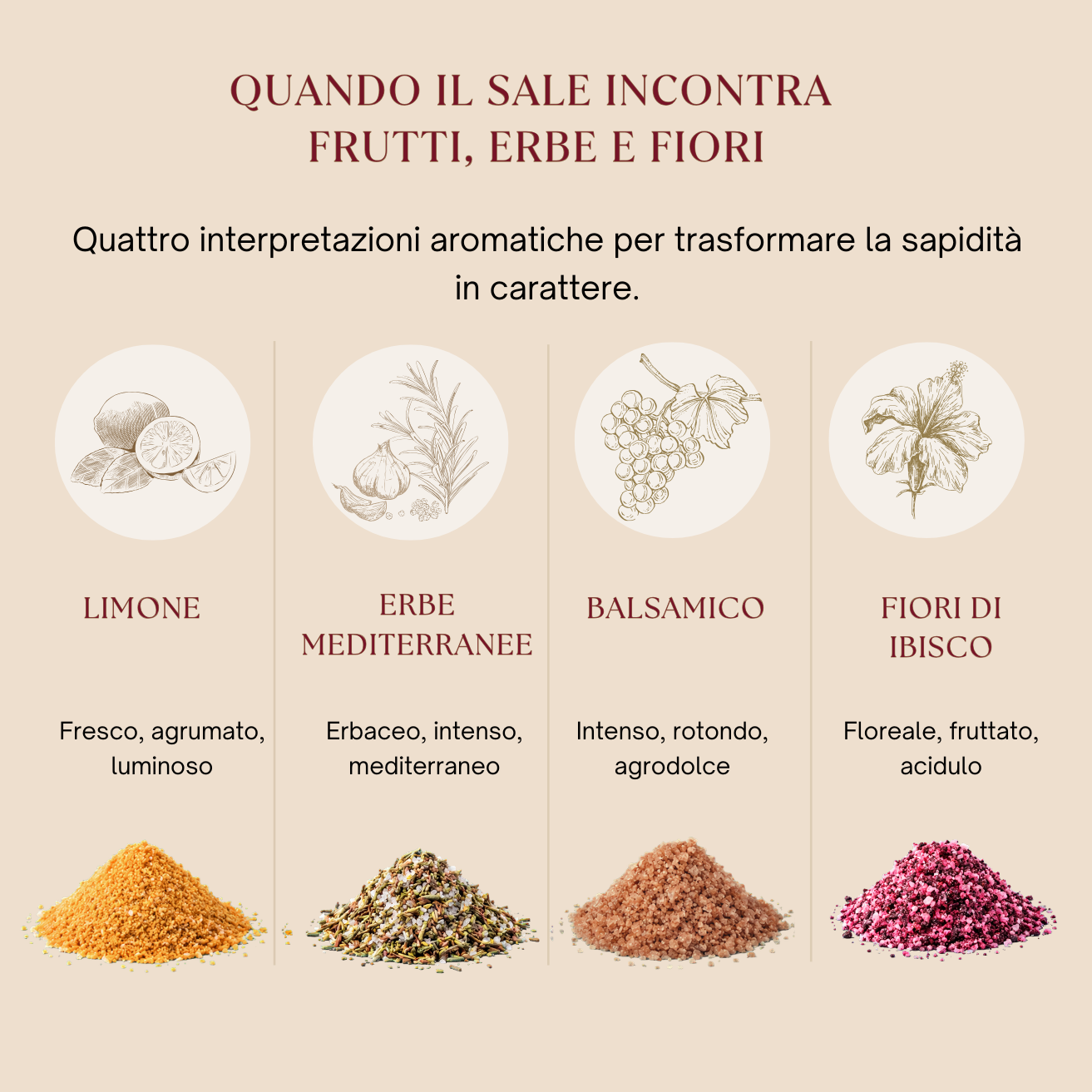4 Sali Aromatici - Limone, Erbe Mediterranee, Aceto Balsamico e Ibisco