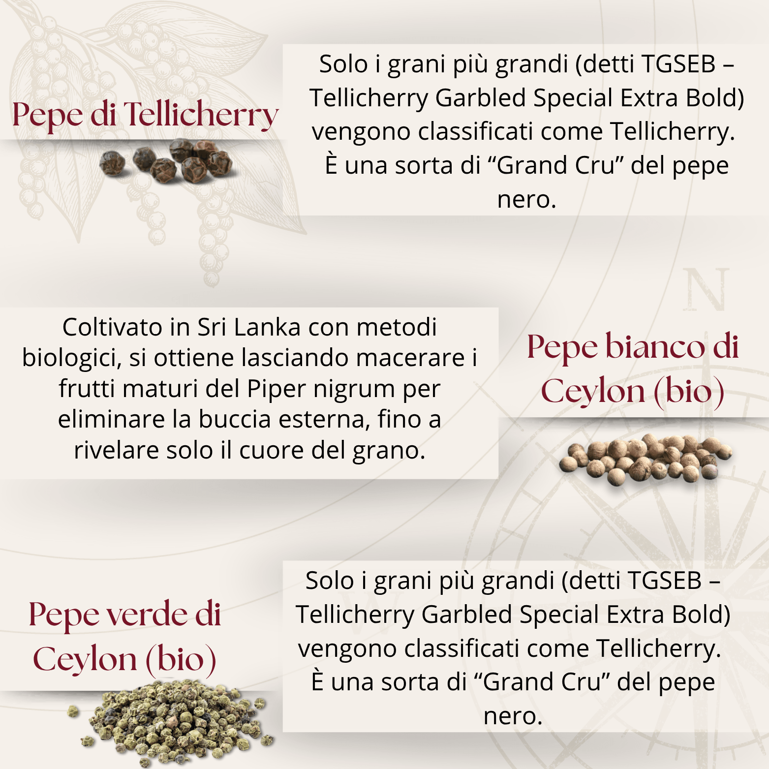 45°N - Il Regno dei Pepi - Box gourmet con 6 pepi dal mondo | Edizione limitata 2025 - Silkflair