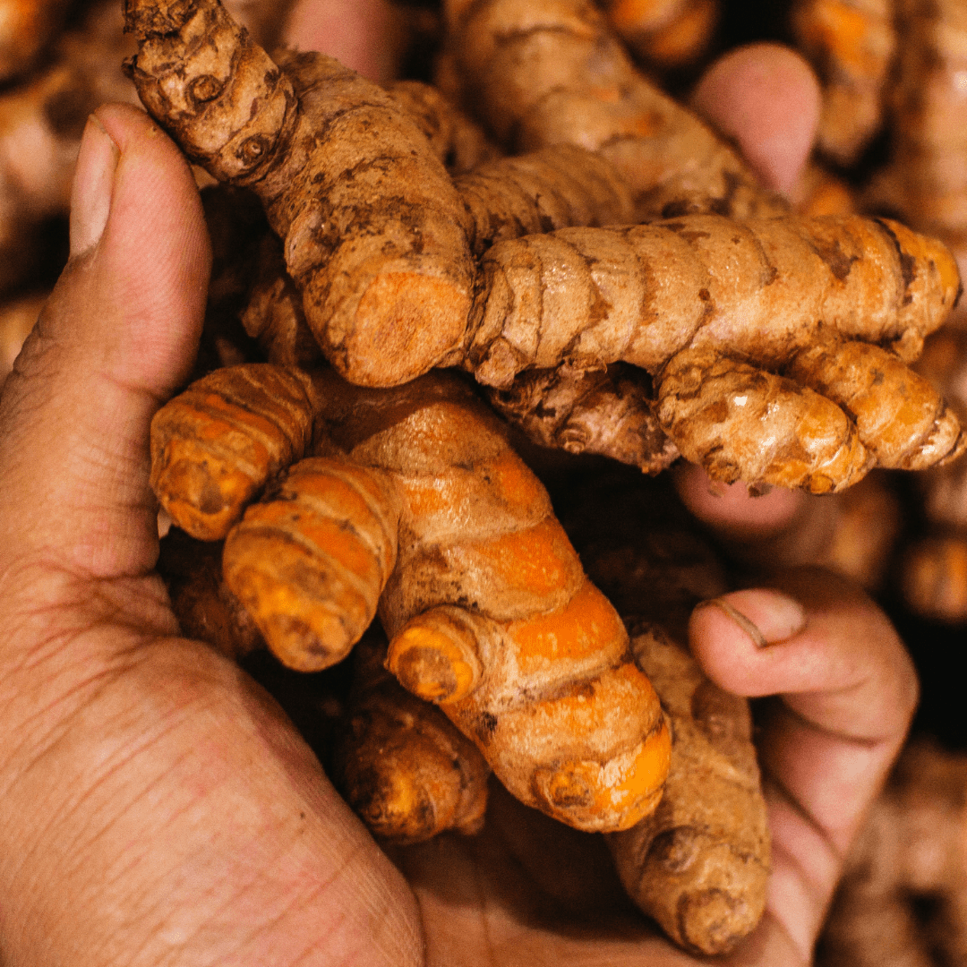Curcuma in polvere - Silkflair - Silkflair