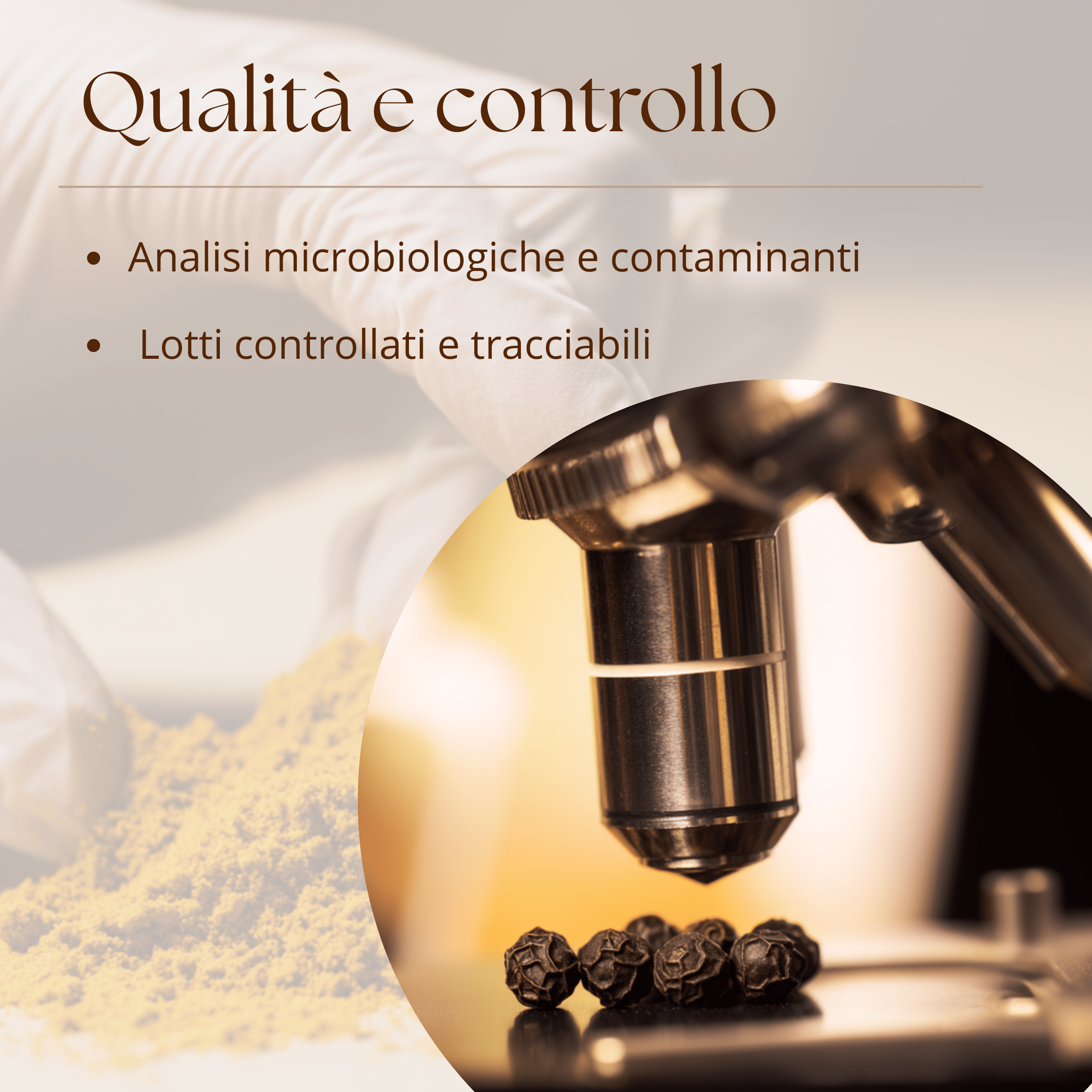 Golden Milk Silkflair - blend per latte alla curcuma - Silkflair