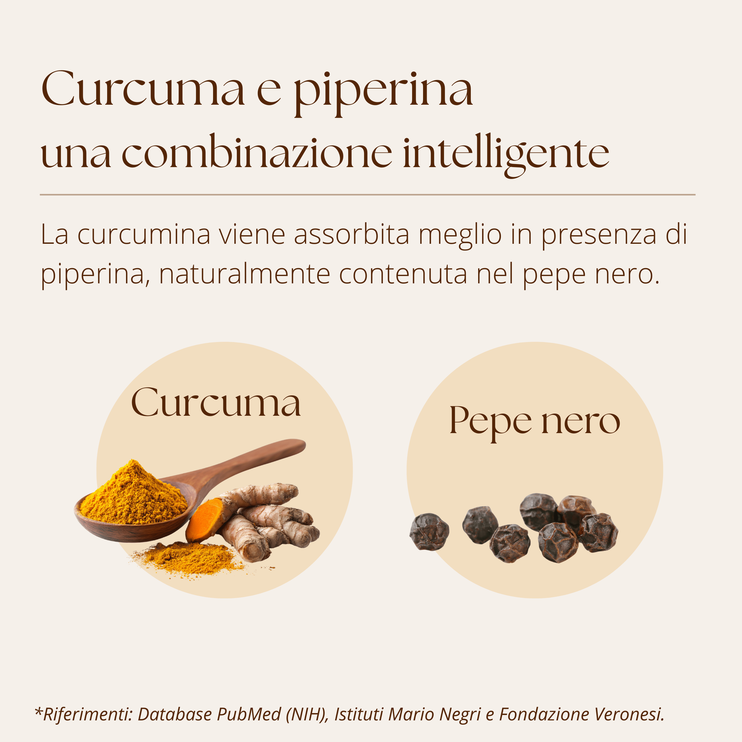 Golden Milk Silkflair - blend per latte alla curcuma - Silkflair