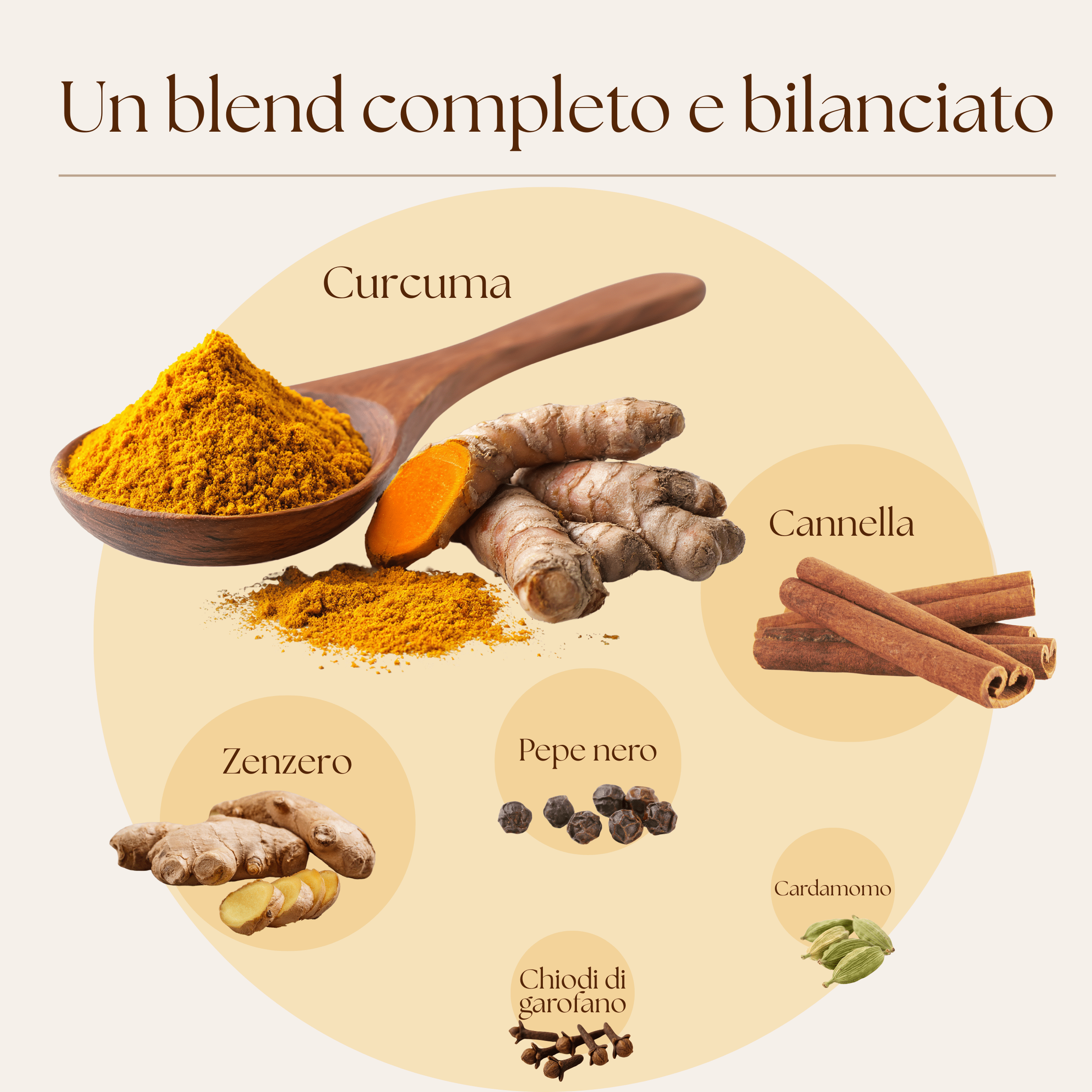 Golden Milk Silkflair - blend per latte alla curcuma - Silkflair