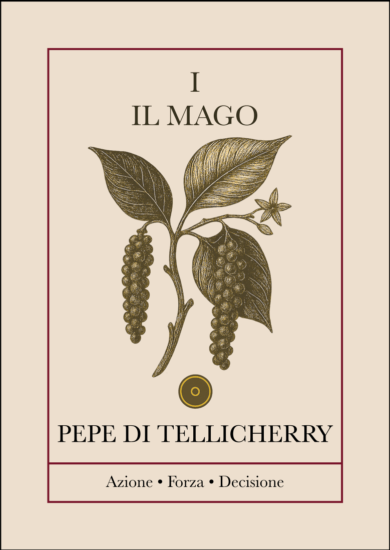 I Tarocchi delle Spezie – Silkflair | Box edizione limitata ispirata agli Arcani Maggiori - Silkflair
