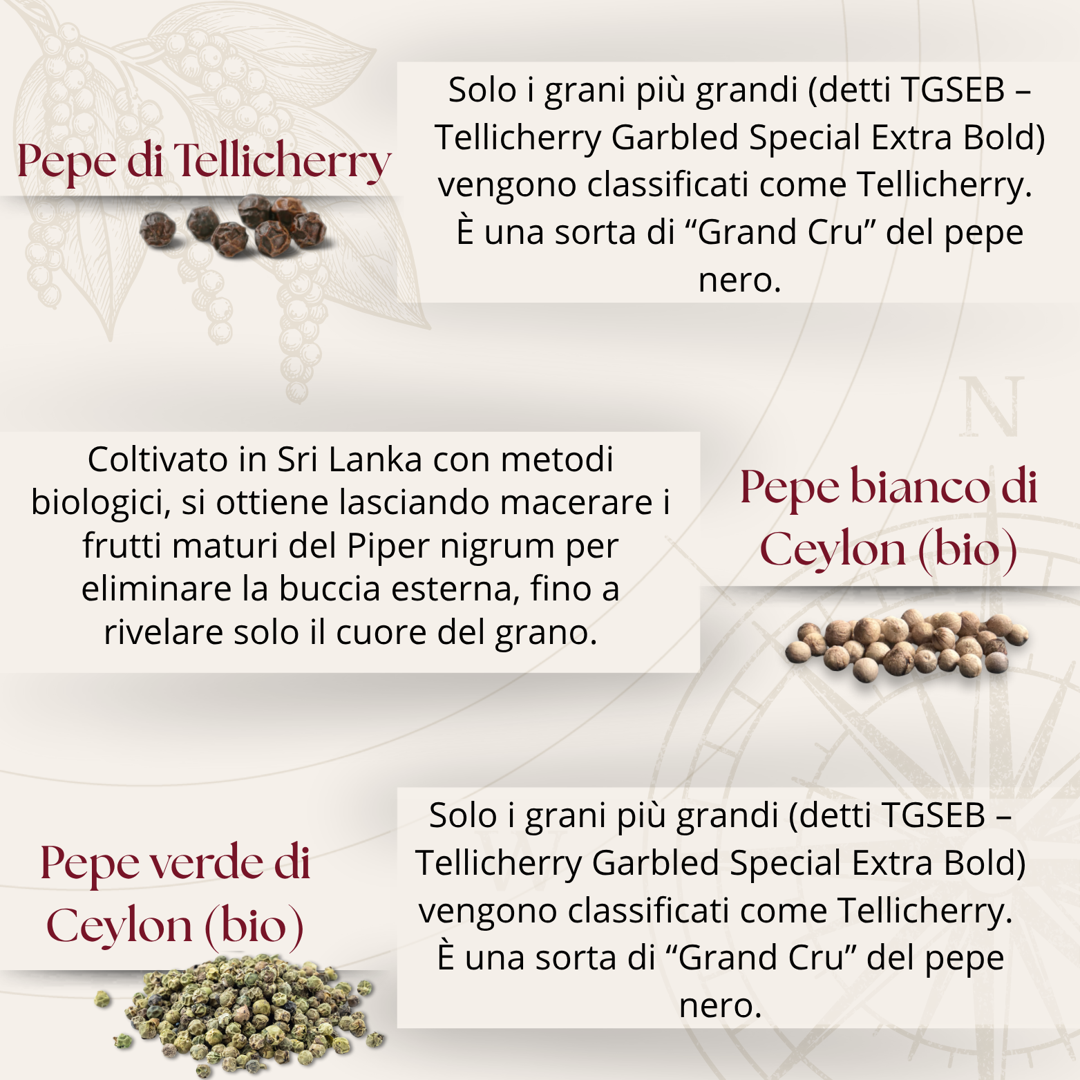 45°N - Il Regno dei Pepi - Box gourmet con 6 pepi dal mondo | Edizione limitata 2025